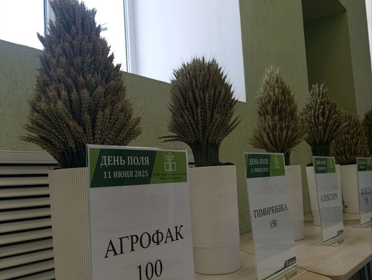 Энергомера (1)